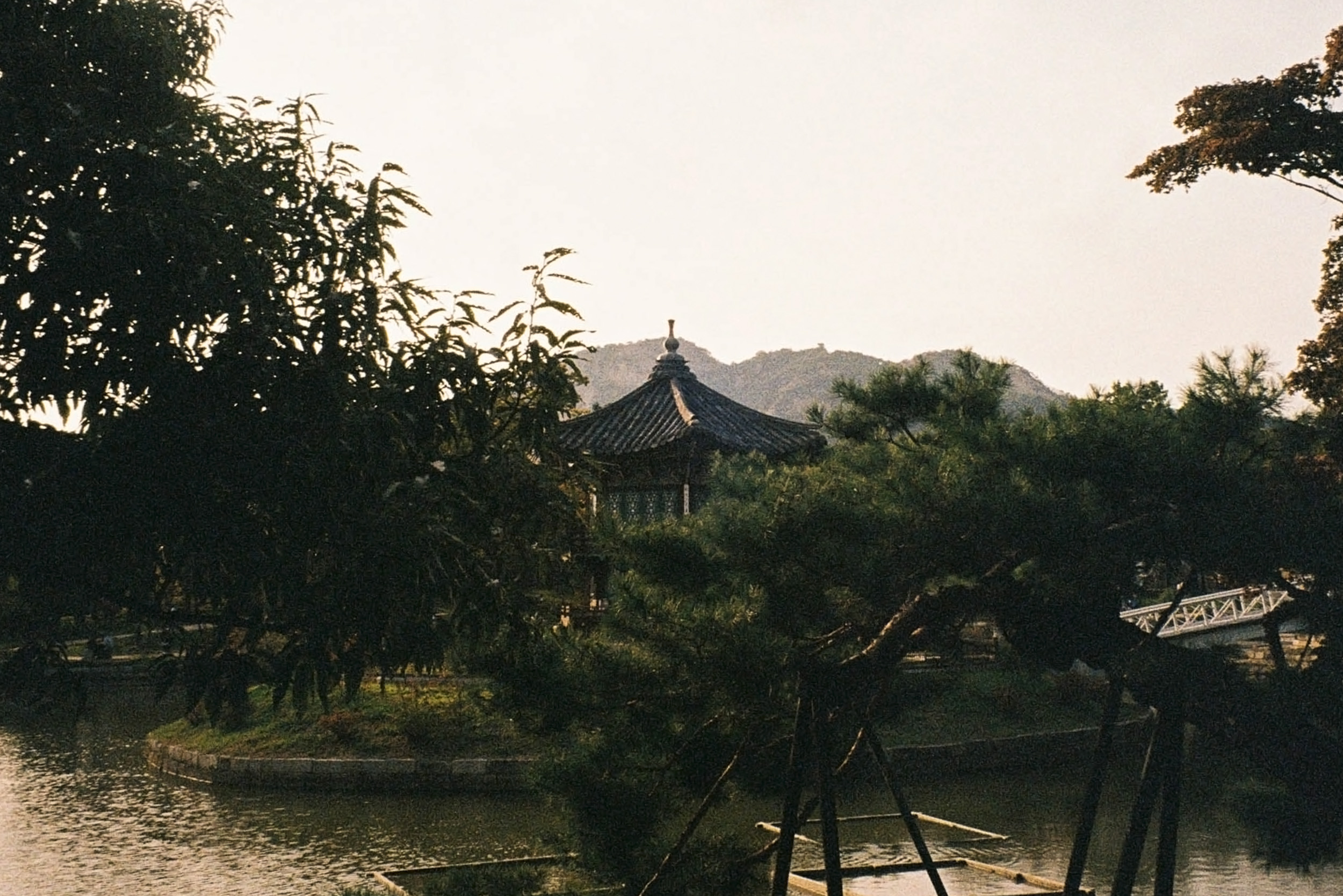 Seoul Pop-up & City Guide